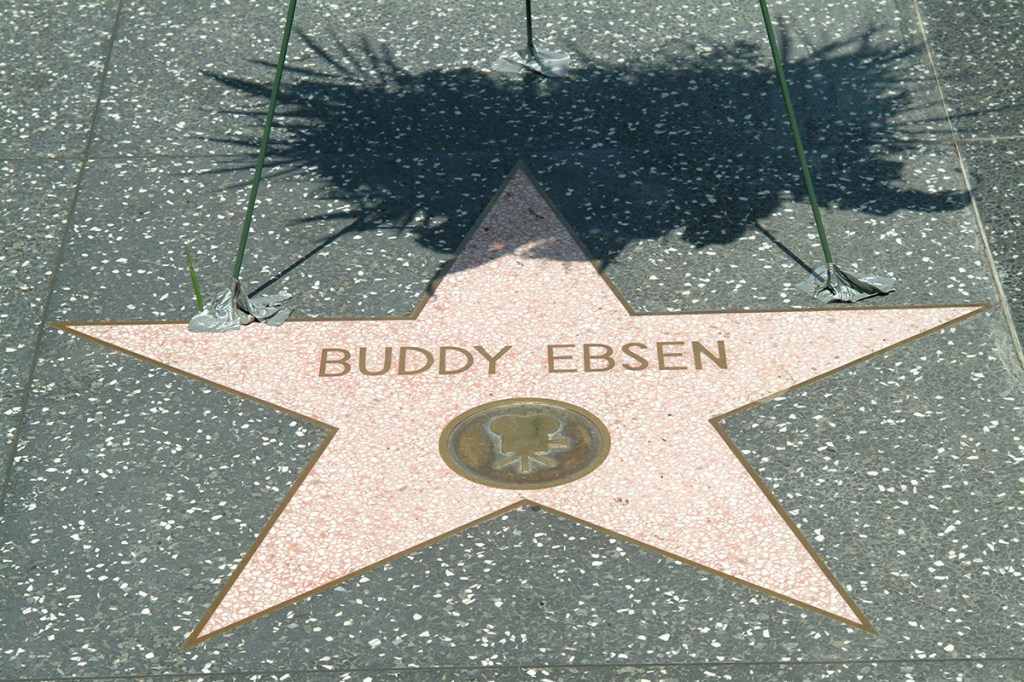 His star on the Hollywood Walk of Fame