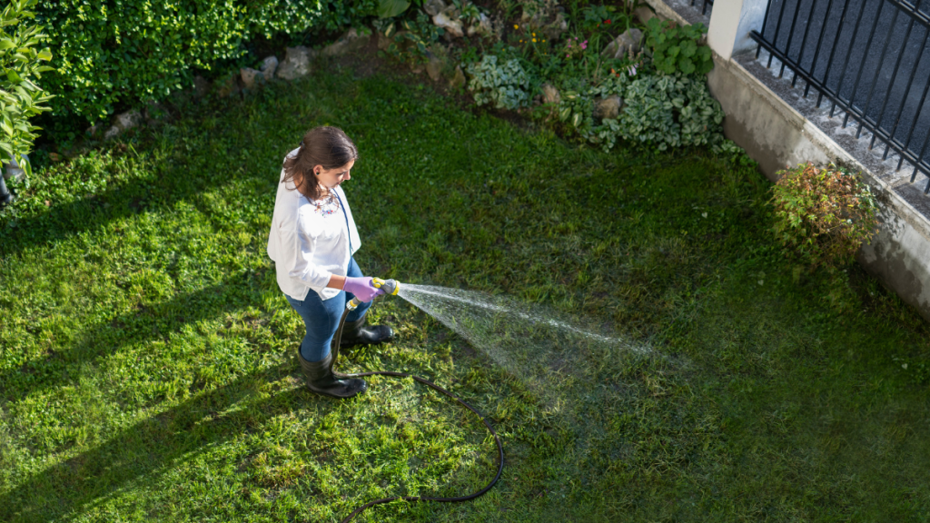 A woman wearing gloves and rain boots uses a hose to water her lawn at the best time to water grass, while there is a mix of sun and shade