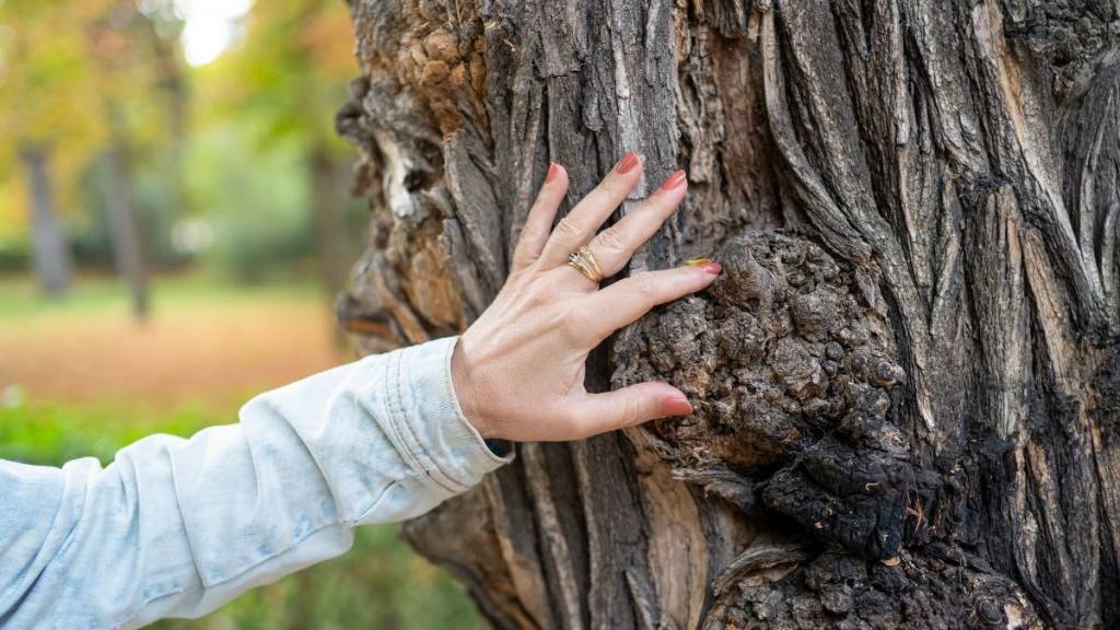 woman touching a tree; more energy