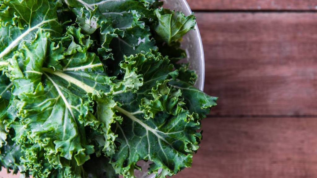 Wildfit: Kale leaf salad vegetable