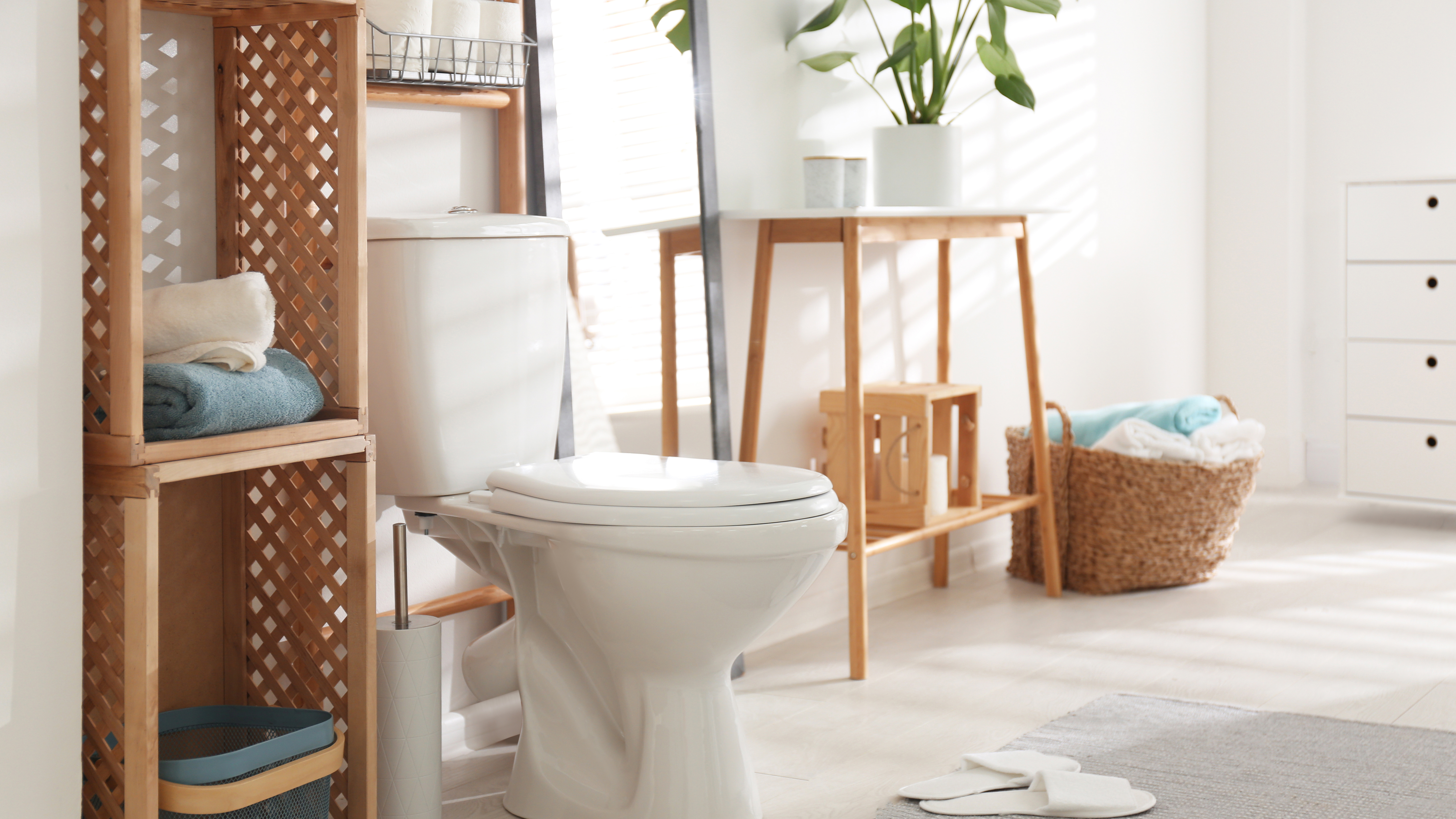 Tips for Unclogging a Toilet