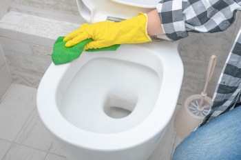 Toilet bowl being cleaned