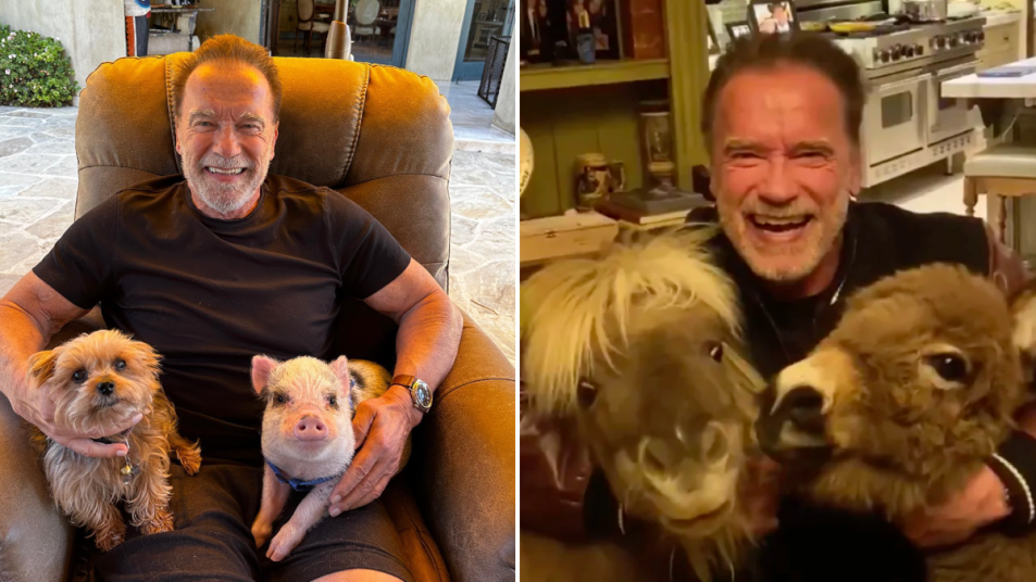 arnold with his pets