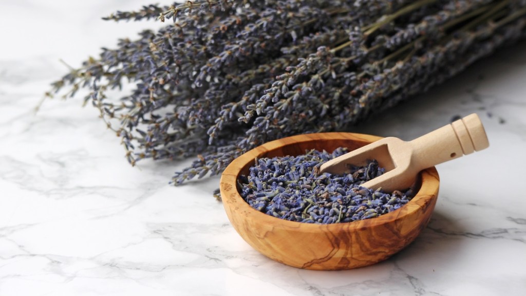 Dried lavender used to make lavender tea