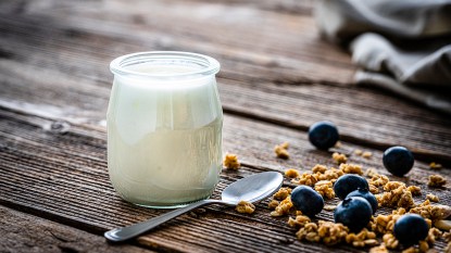 Homemade yogurt that is an effective natural treatment for SIBO