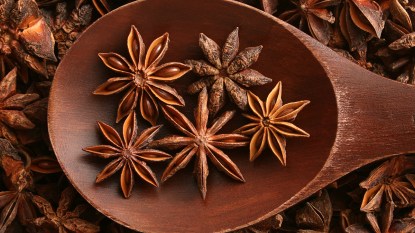 Star anise on a wooden spoon with all its health benefits