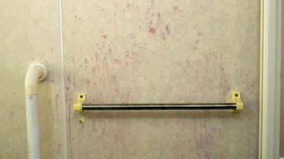 pink mold on the shower wall