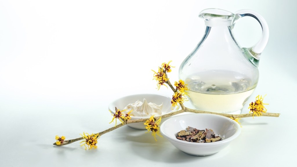 Witch hazel as a natural cure for hemorrhoids