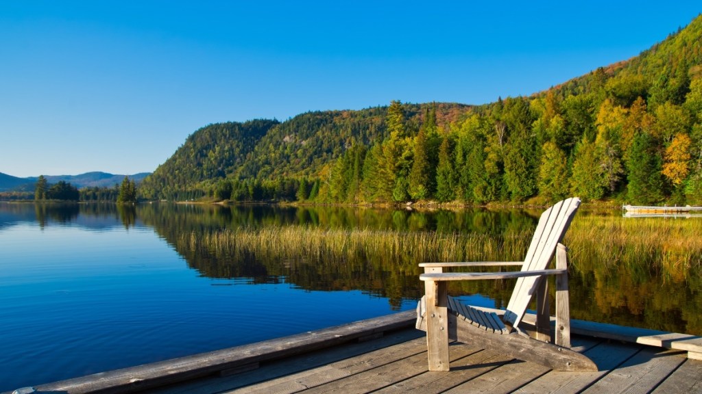 A park bench on a lake dock with trees nearby, which can ease stress-triggered vertigo