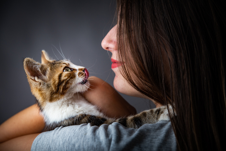 A woman holding a cat that has it's tongue out as if it wants to lick her hair