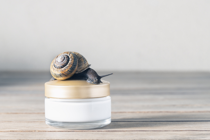 Snail sitting on top of skincare product.
