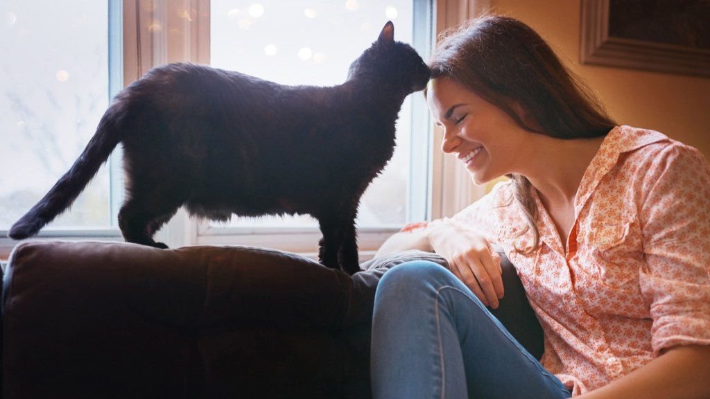A black cat licking a smiling woman's forehead.