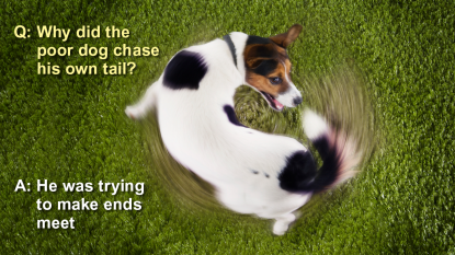 A dog chasing his tale with a joke about his making ends meet
