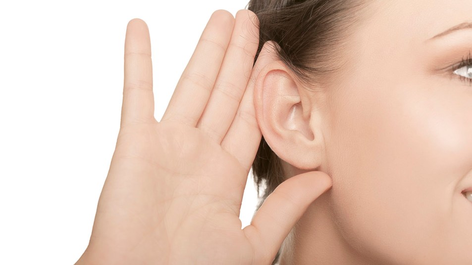 A woman's ear that's ready for ear seeding for weight loss