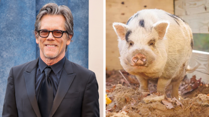 Left: Kevin Bacon; Right: Kevin Bacon pig (2023)