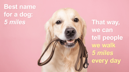 Exercise memes: dog with a leash: Best name for a dog: 5 miles. That way we can say we walk 5 miles a day