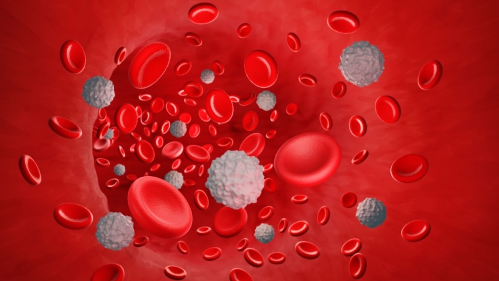 An illustration of white blood cells, which are supported by zinc