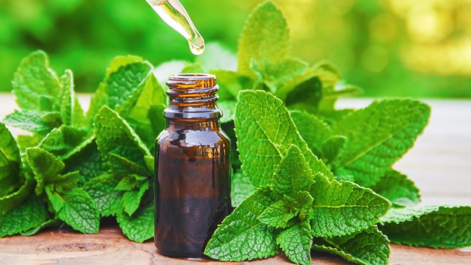 An amber vial of peppermint oil beside mint sprigs, on of several essential oils for congestion