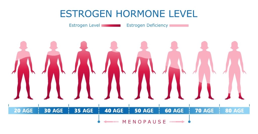 An illustration of how estrogen decreases over time, which can affect mood
