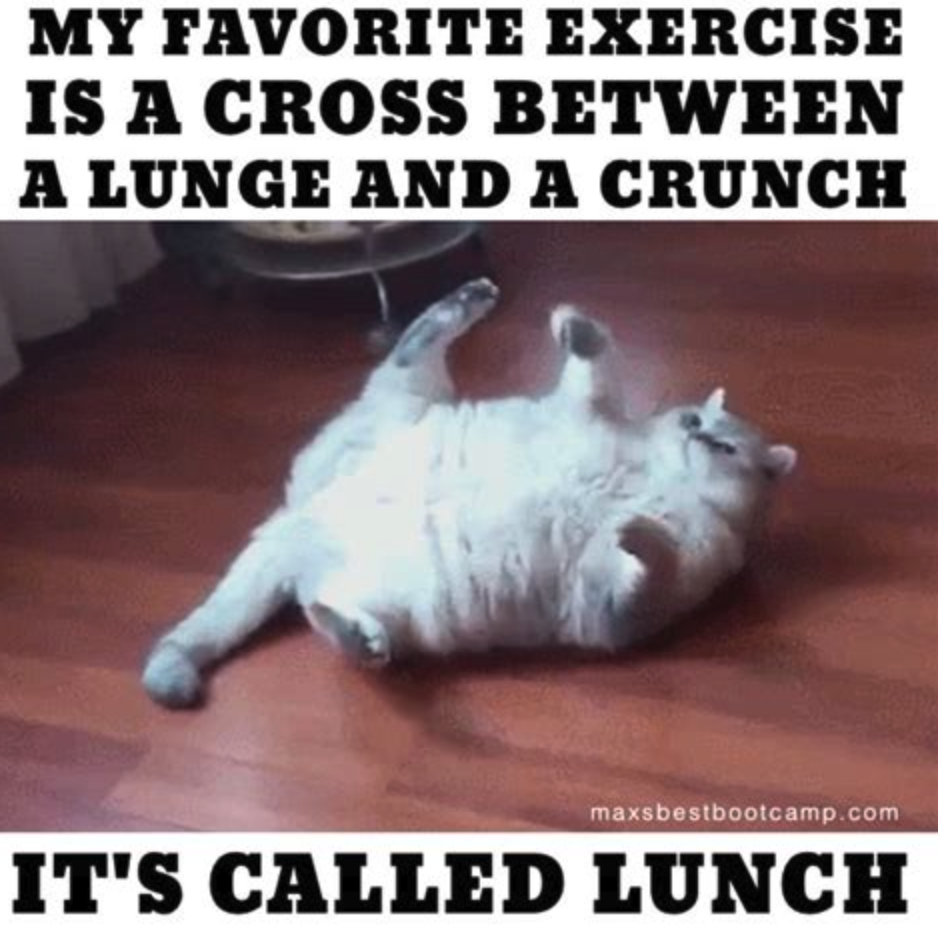 Exercise memes: Cat stretching upside down on floor with caption: My favorited exercise is a cross between a lunge and a crunch. It's called lunch.