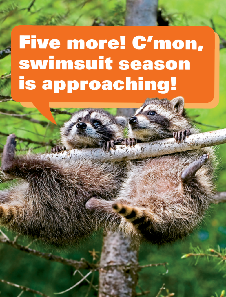 Exercise memes: 2 raccoons doing pull-ups on a tree branch with caption: "Five more! C'mon, swimsuit season is approaching!"