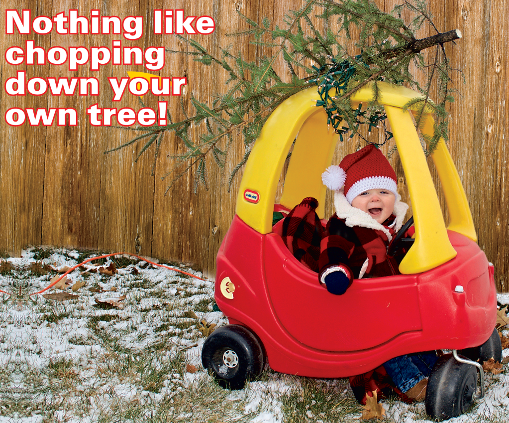 Holiday memes: Boy driving toy car with tree on the roof and caption, "Nothing like chopping down your own tree"