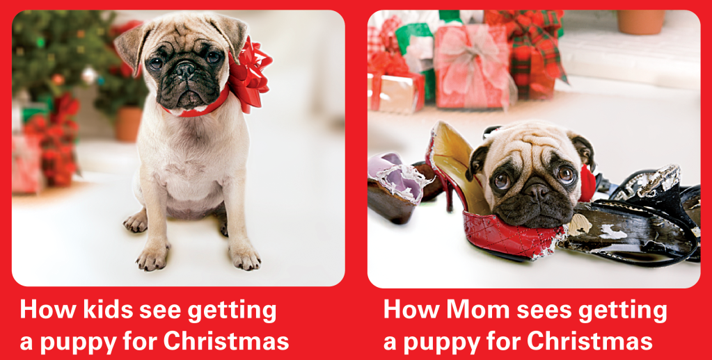 How kids see getting a puppy for Christmas (cute puppy with red bow on) vs. how Mom sees getting a puppy for Christmas (cute puppy in a pile of chewed-up shoes)