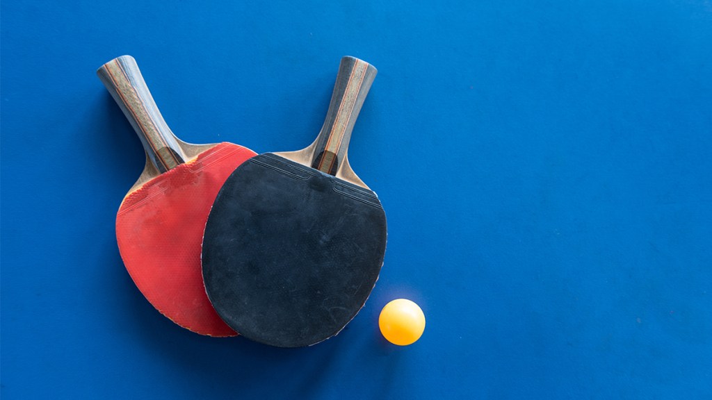 ping pong paddles; How I cured my vestibular migraine