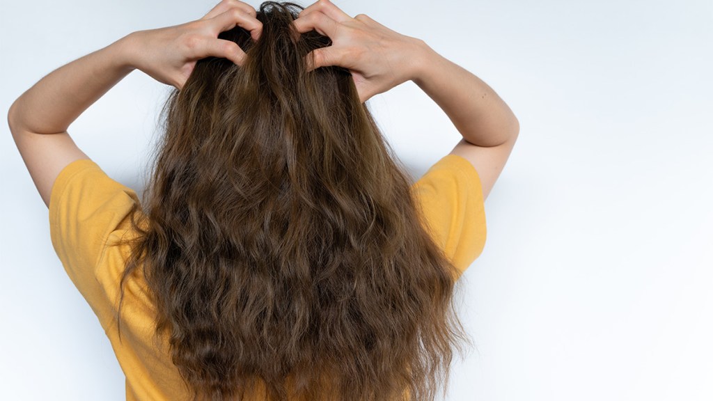 Back of the head photo of a woman touching her long wavy hair