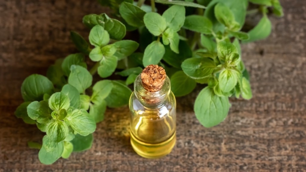 Oil of oregano next to fresh oregano on a wood table, which is a natural dopamine supplement