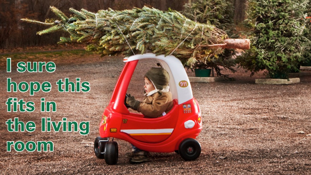 Boy in toy car with tree on roof and caption, "I sure hope this fits in the living room"