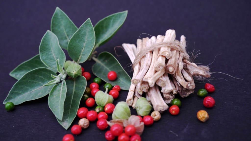 Ashwagandha, which can help the thyroid, next to the plant's leaves and berries