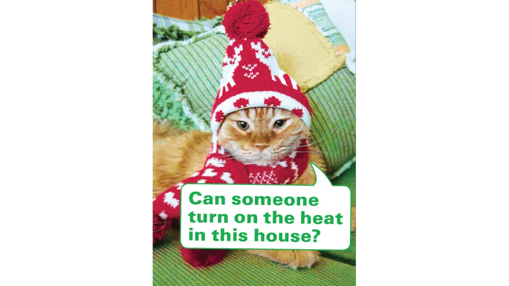 Funny photos: Cat bundled up with caption, "Can someone turn on the heat in this house?"