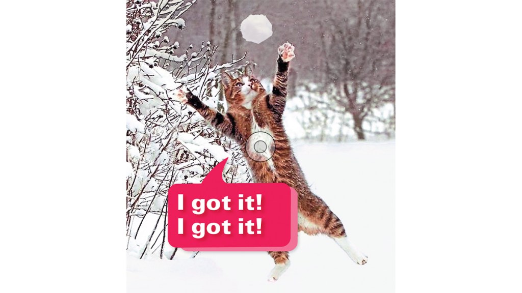 Funny photos: Cat catching snowball with caption, "I got it! I got it!"