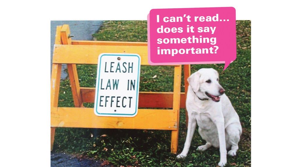 Funny photos: Dog with no leash next to sign that says "leash law in effect" with caption, "I can't read...does it say something important?"