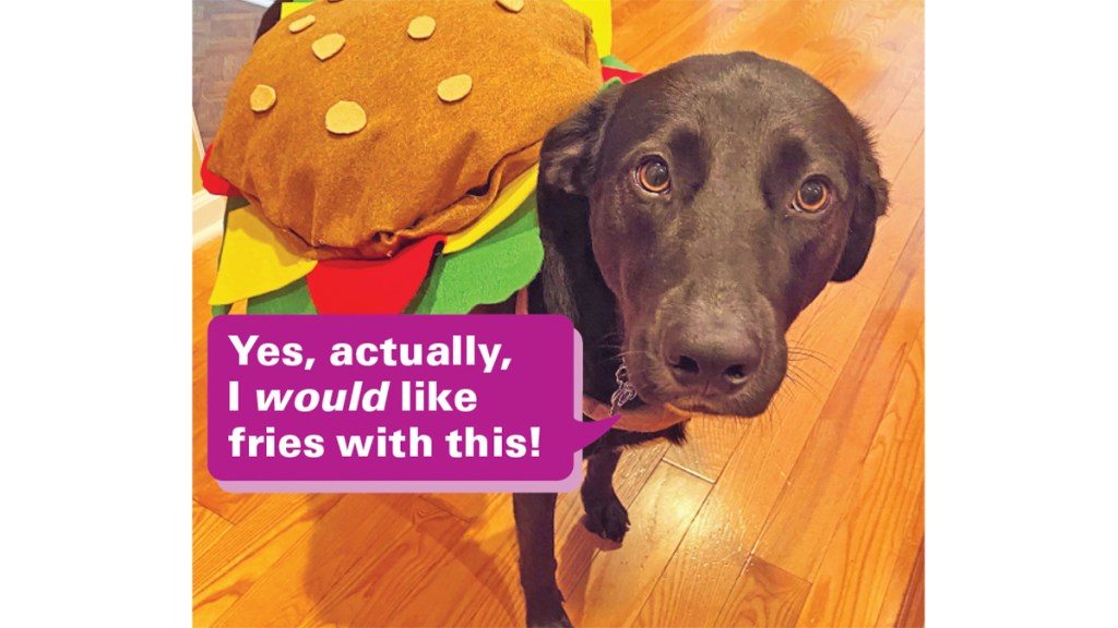 Funny photos: Dog in hamburger costume with caption, "Yes, actually, I would like fries with that."
