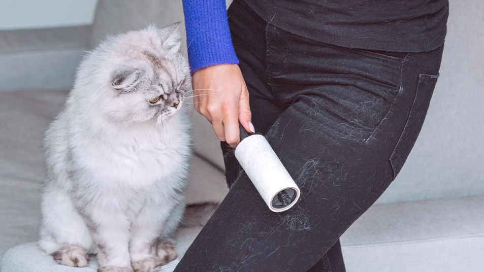 woman using a lint roller to remove cat hair from pants