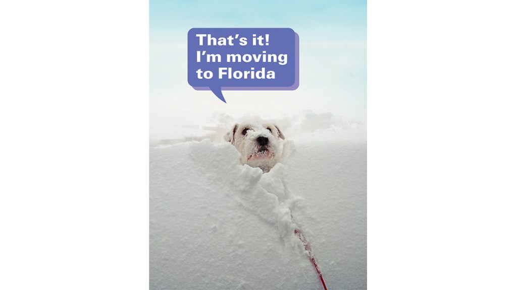 Funny photos: Dog buried in snow with caption, "That's it! I'm moving to Florida"