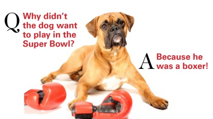 Q: Why didn't the dog want to play in the Super Bowl? A: Because he was a boxer!