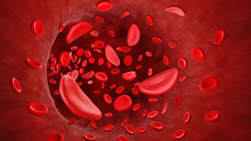 An illustration of red blood cells