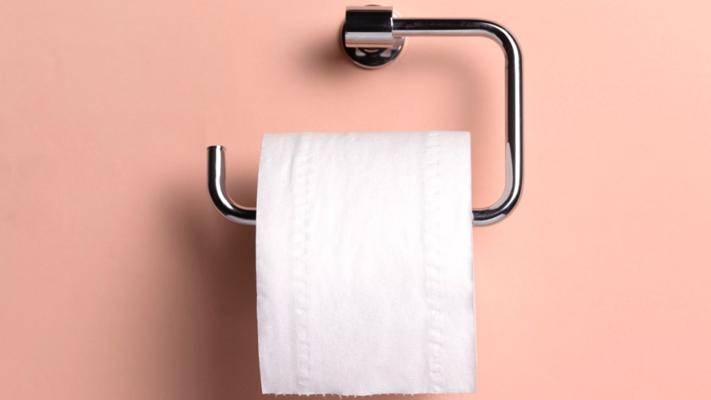 A roll of a toilet paper on a chrome toilet paper holder against a peach wall