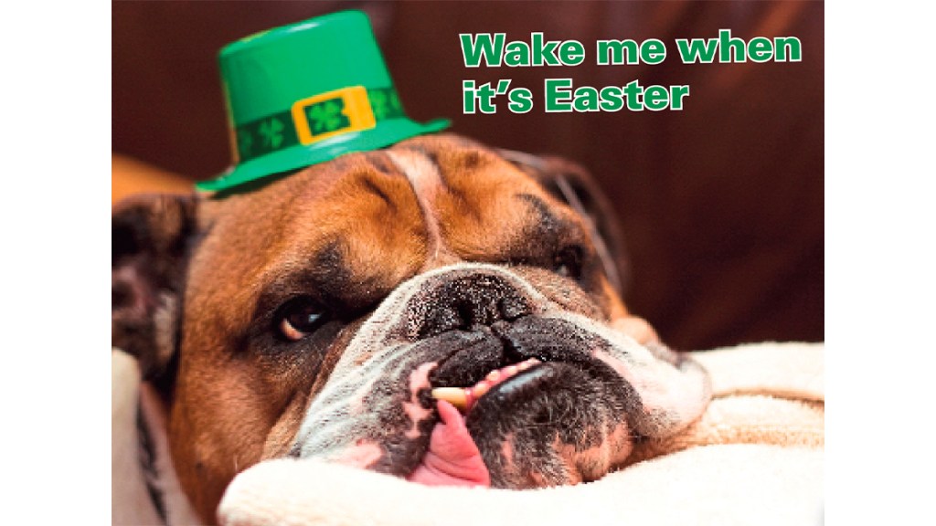 Bulldog in St. Patrick's Day top hat saying, "Wake me when it's Easter."