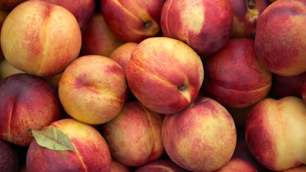 Peacharines, hybrid fruits that combine peaches and nectarines