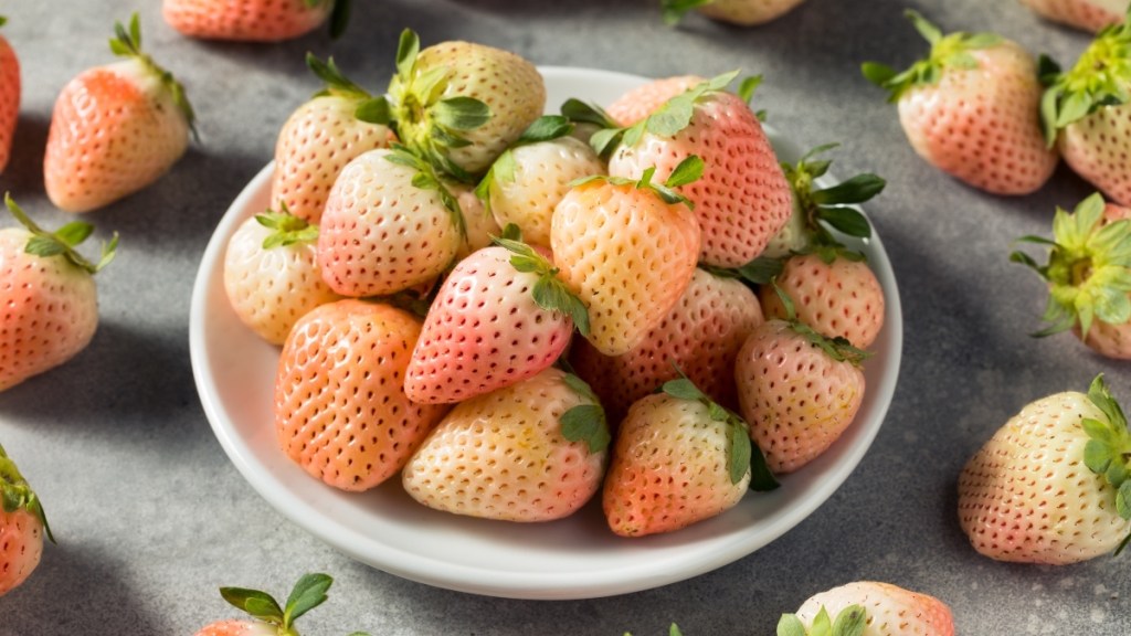 Pineberries, a hybrid fruit that blends two types of strawberries, in a bowl